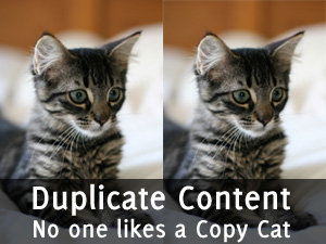 Duplicate Content: No One Likes a Copy Cat